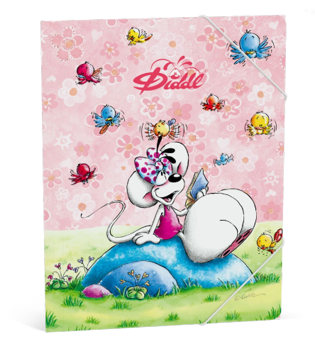 Pochette élastique Diddl