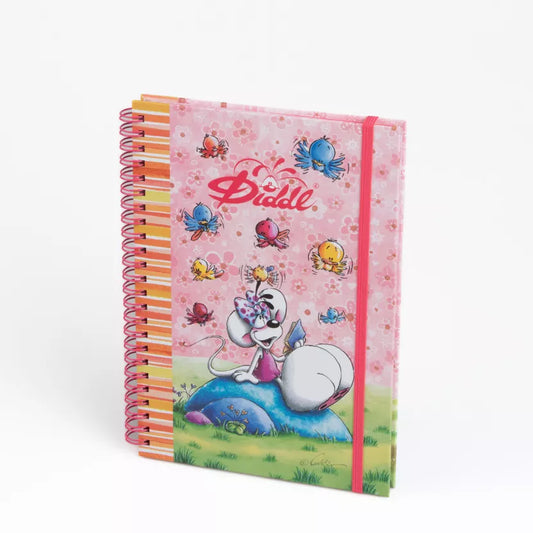 Cahier spirale A5