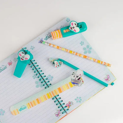 Coffret cadeau écriture Diddl 6 pièces