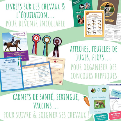 Jeu Métier - Mon poney club