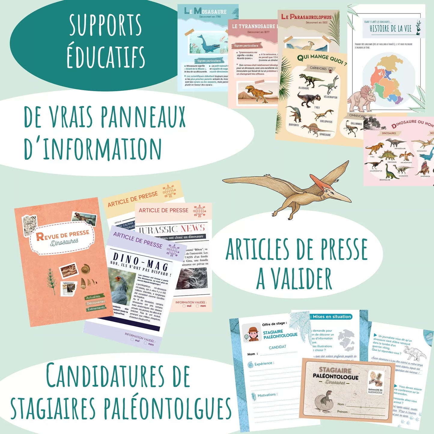 Jeu Métier - Mission dinosaures